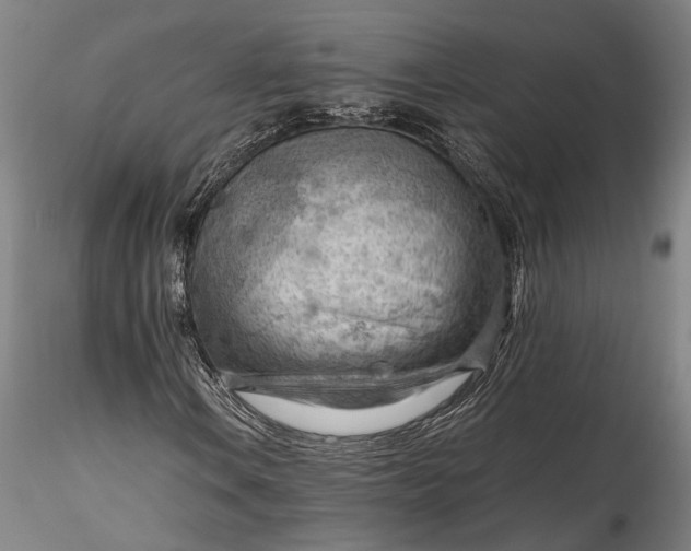 X0000115801106200911271244
