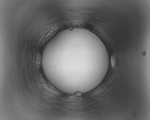 X0000115801107200911271244