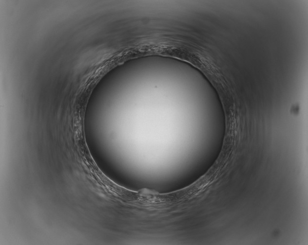 X0000115801109200911271244