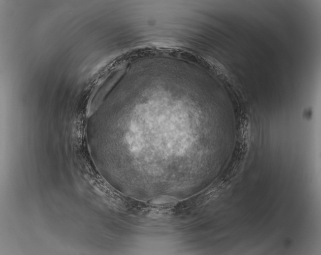 X0000115801110200911271244