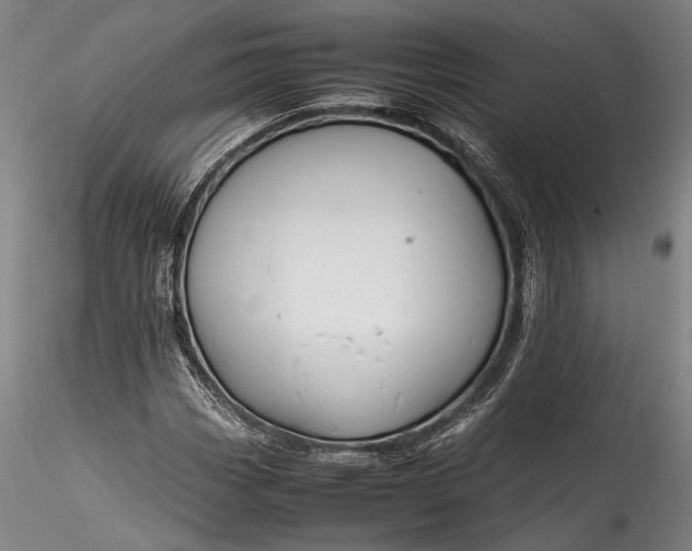 X0000115801113200911271244