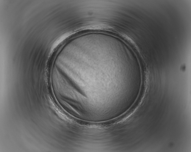 X0000115801114200911271244
