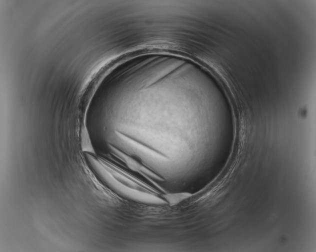 X0000115801115200911271244