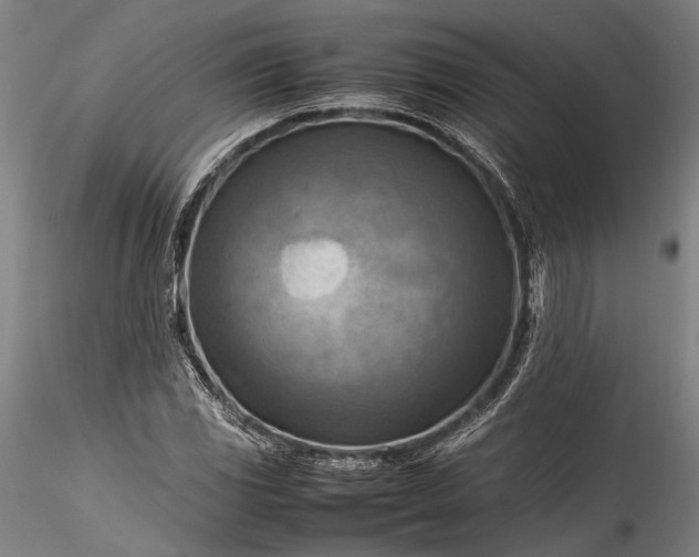 X0000115801117200911271244