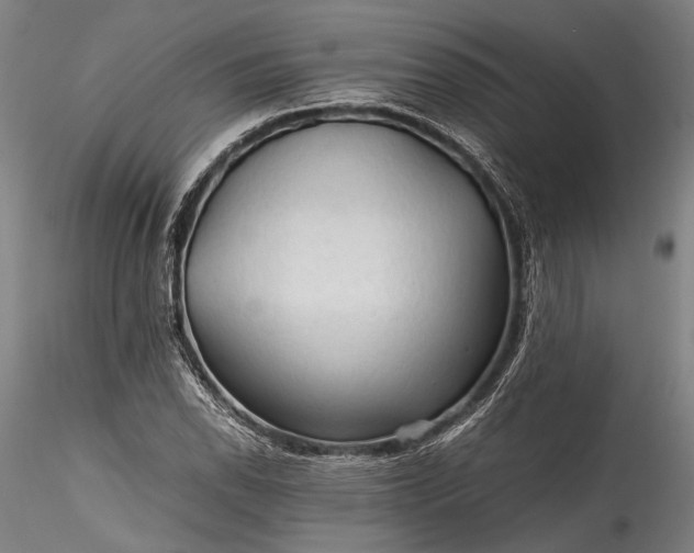 X0000115801118200911271244