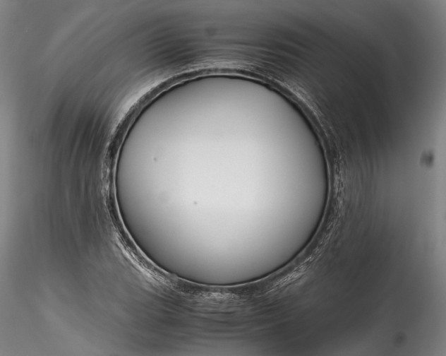 X0000115801119200911271244