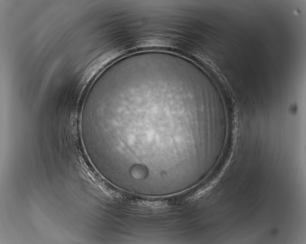 X0000115801121200911271244