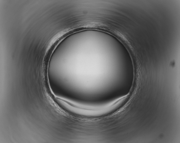 X0000115801122200911271244
