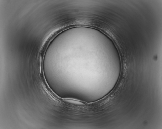 X0000115801123200911271244