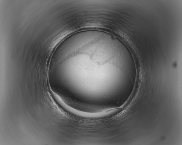 X0000115801129200911271244