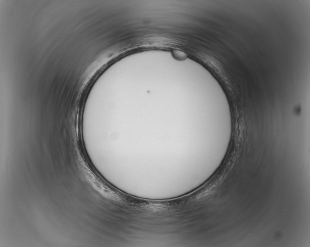 X0000115801130200911271244