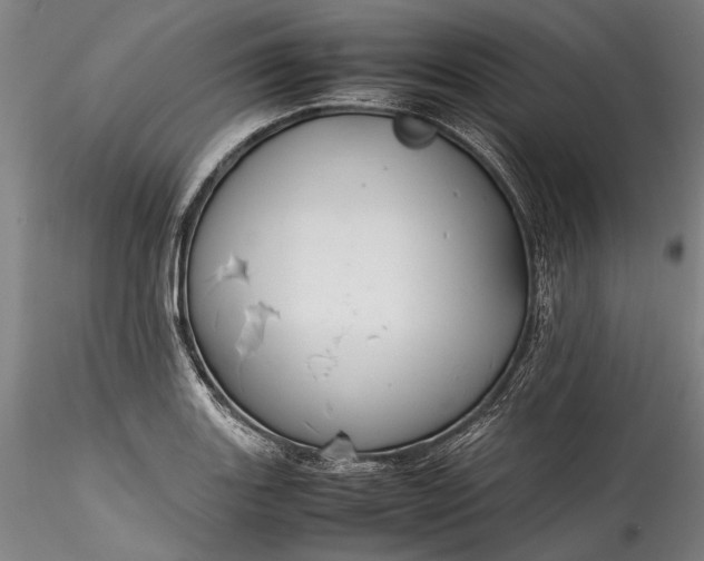 X0000115801131200911271244