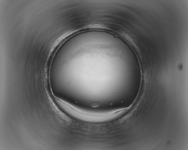 X0000115801133200911271244