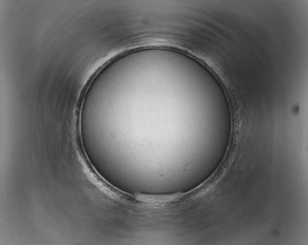 X0000115801134200911271244