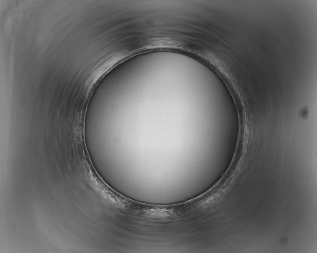 X0000115801137200911271244