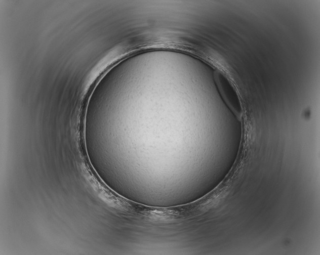 X0000115801138200911271245