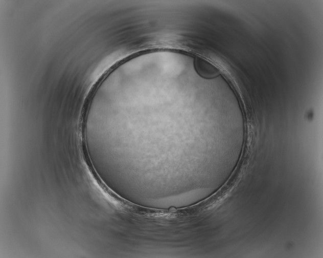 X0000115801141200911271245