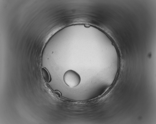 X0000115801145200911271245