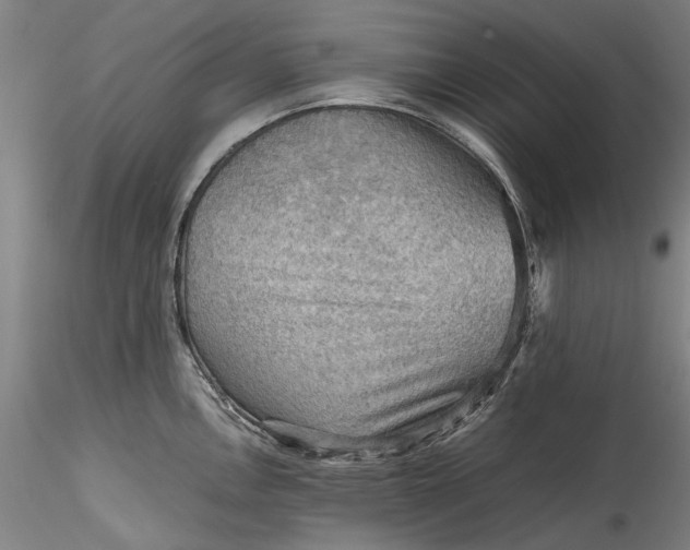 X0000115801146200911271245