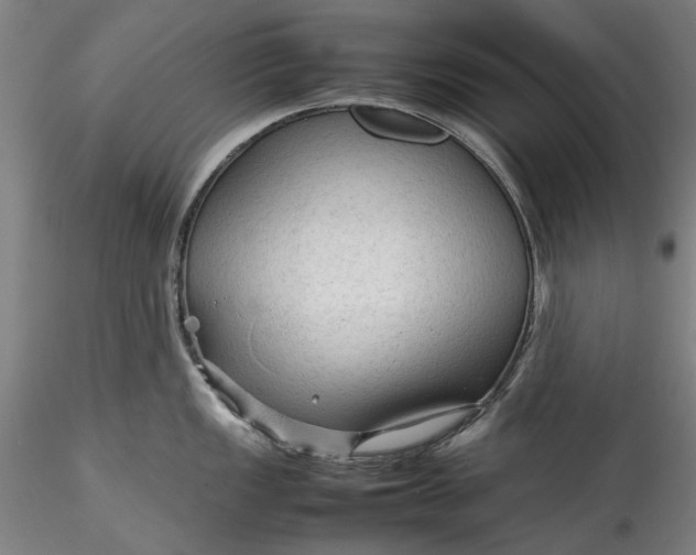 X0000115801149200911271245