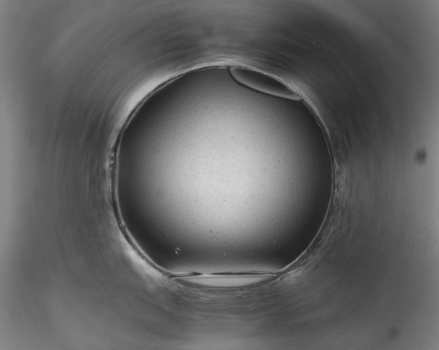 X0000115801151200911271245