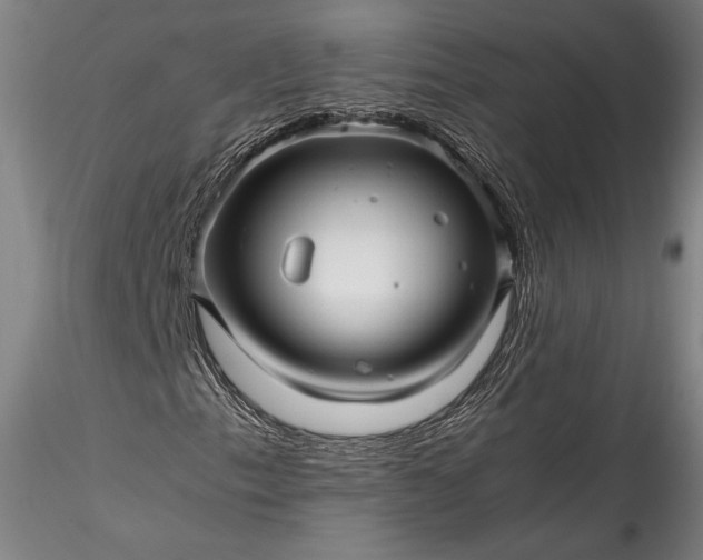 X0000115801153200911271244