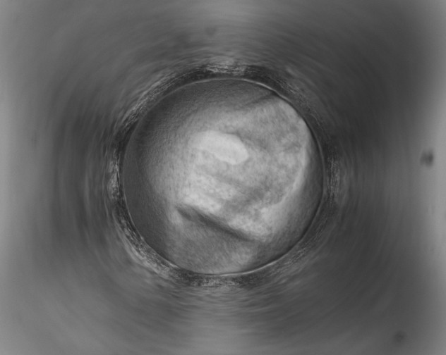 X0000115801154200911271244