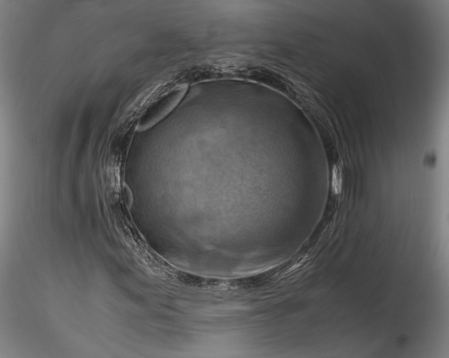X0000115801155200911271244