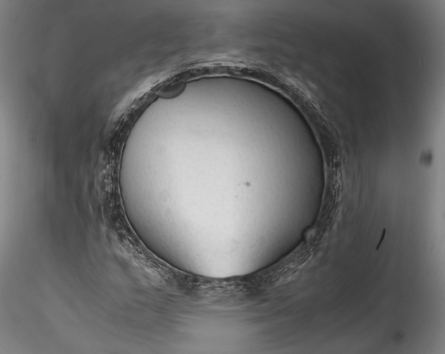 X0000115801159200911271244