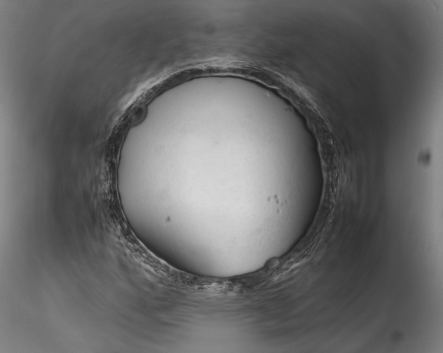 X0000115801160200911271244