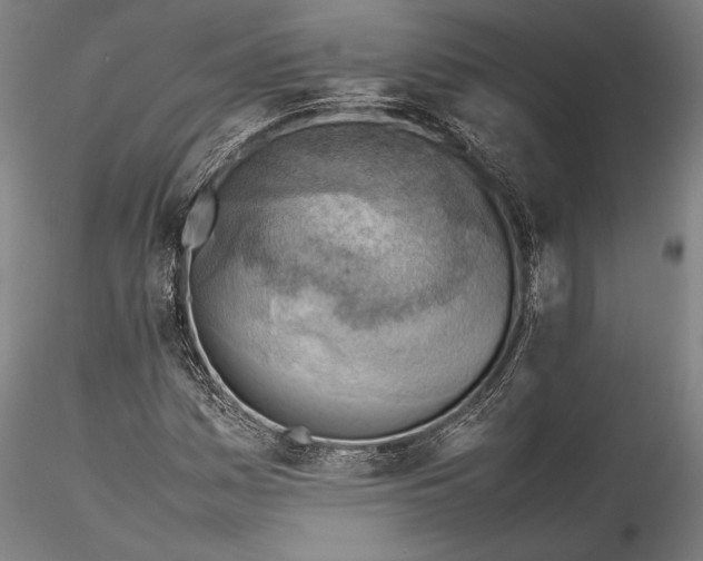 X0000115801161200911271244