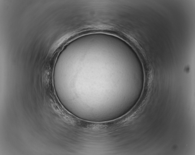 X0000115801163200911271244