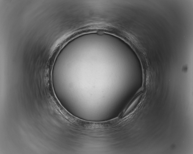 X0000115801164200911271244
