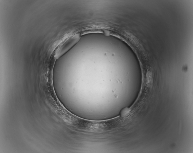 X0000115801165200911271244
