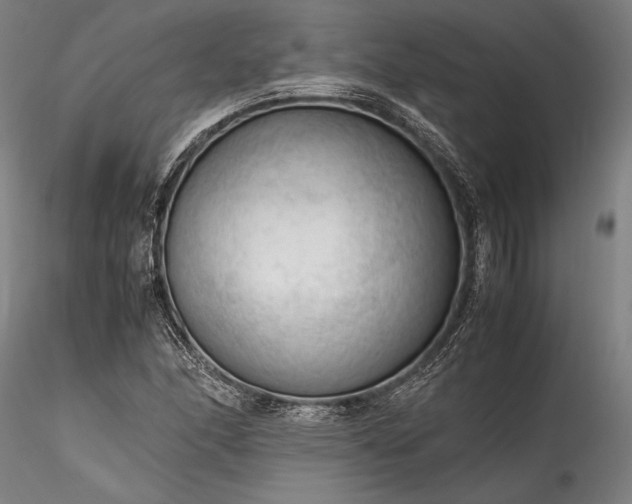 X0000115801166200911271244