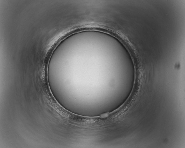 X0000115801167200911271244