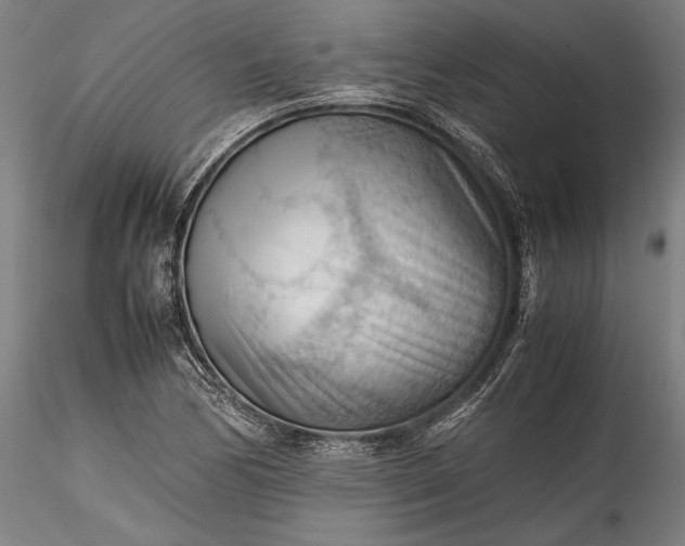 X0000115801170200911271244