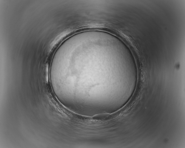 X0000115801171200911271244