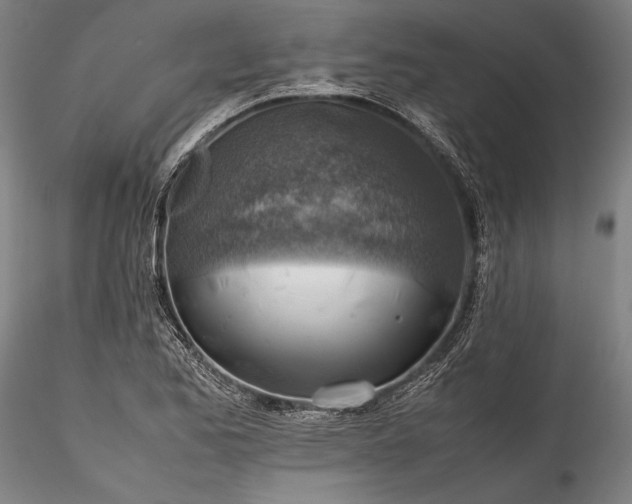 X0000115801173200911271244