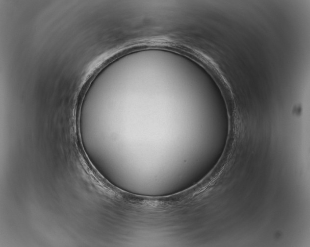X0000115801176200911271244