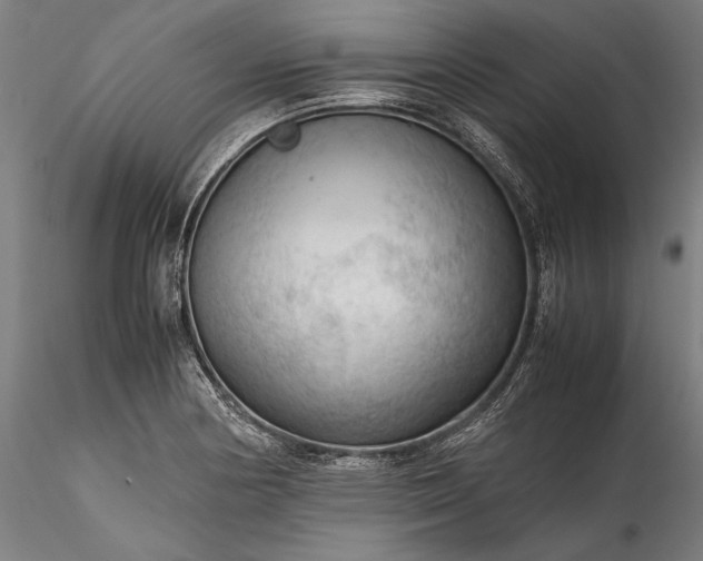 X0000115801178200911271244