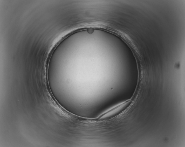 X0000115801184200911271243