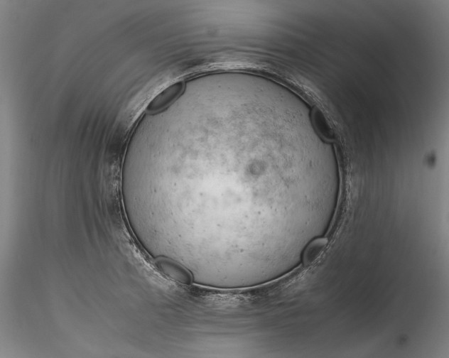 X0000115801185200911271243