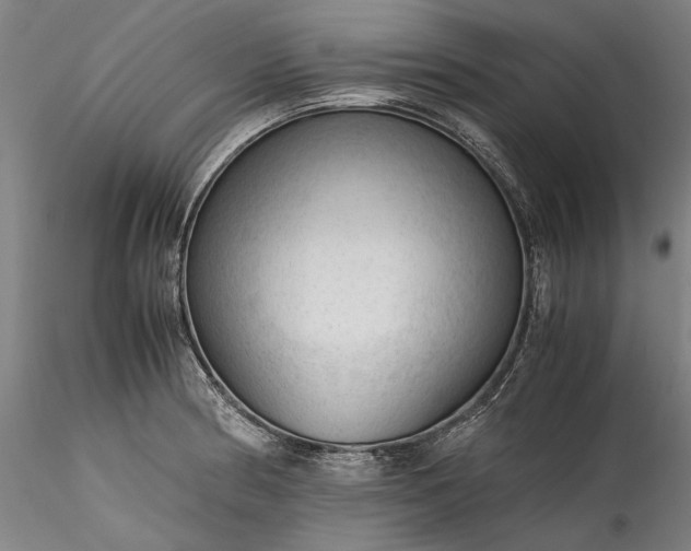 X0000115801186200911271243