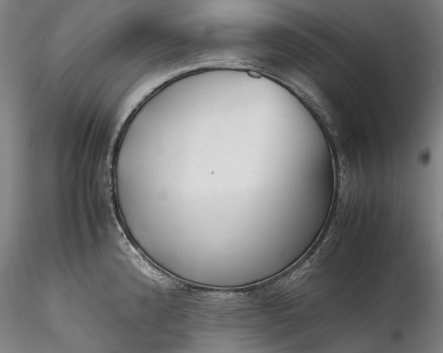 X0000115801192200911271243