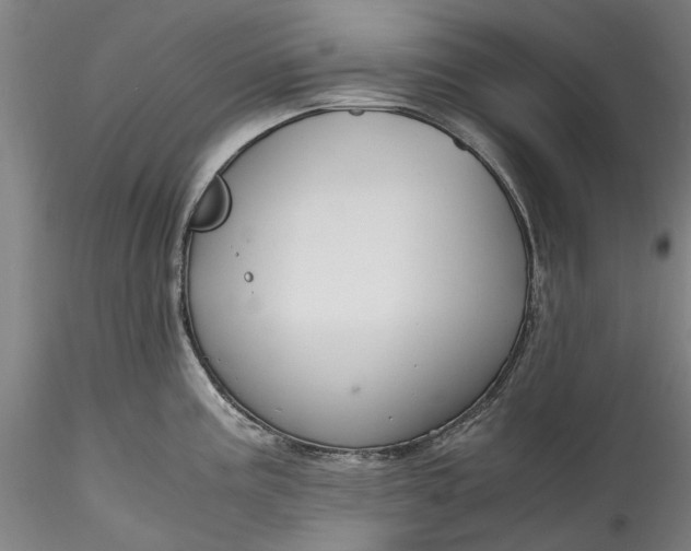 X0000115801195200911271243