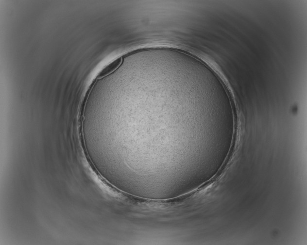 X0000115801197200911271243