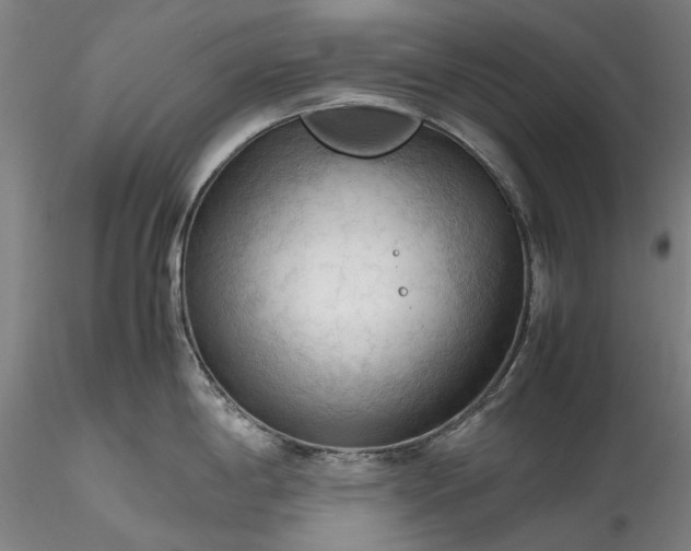 X0000115801198200911271243