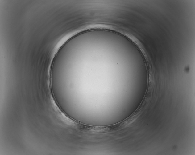 X0000115801199200911271243