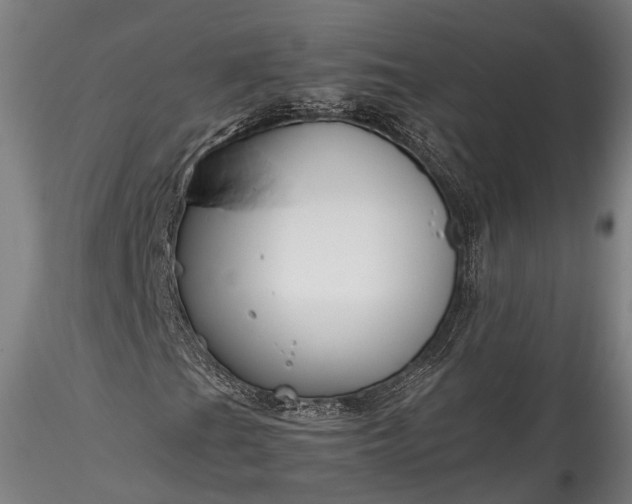 X0000115801201200911271242